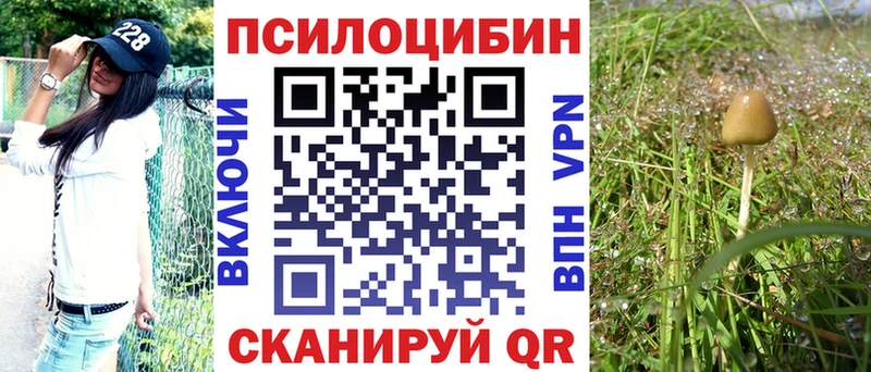 Галлюциногенные грибы Cubensis Апшеронск